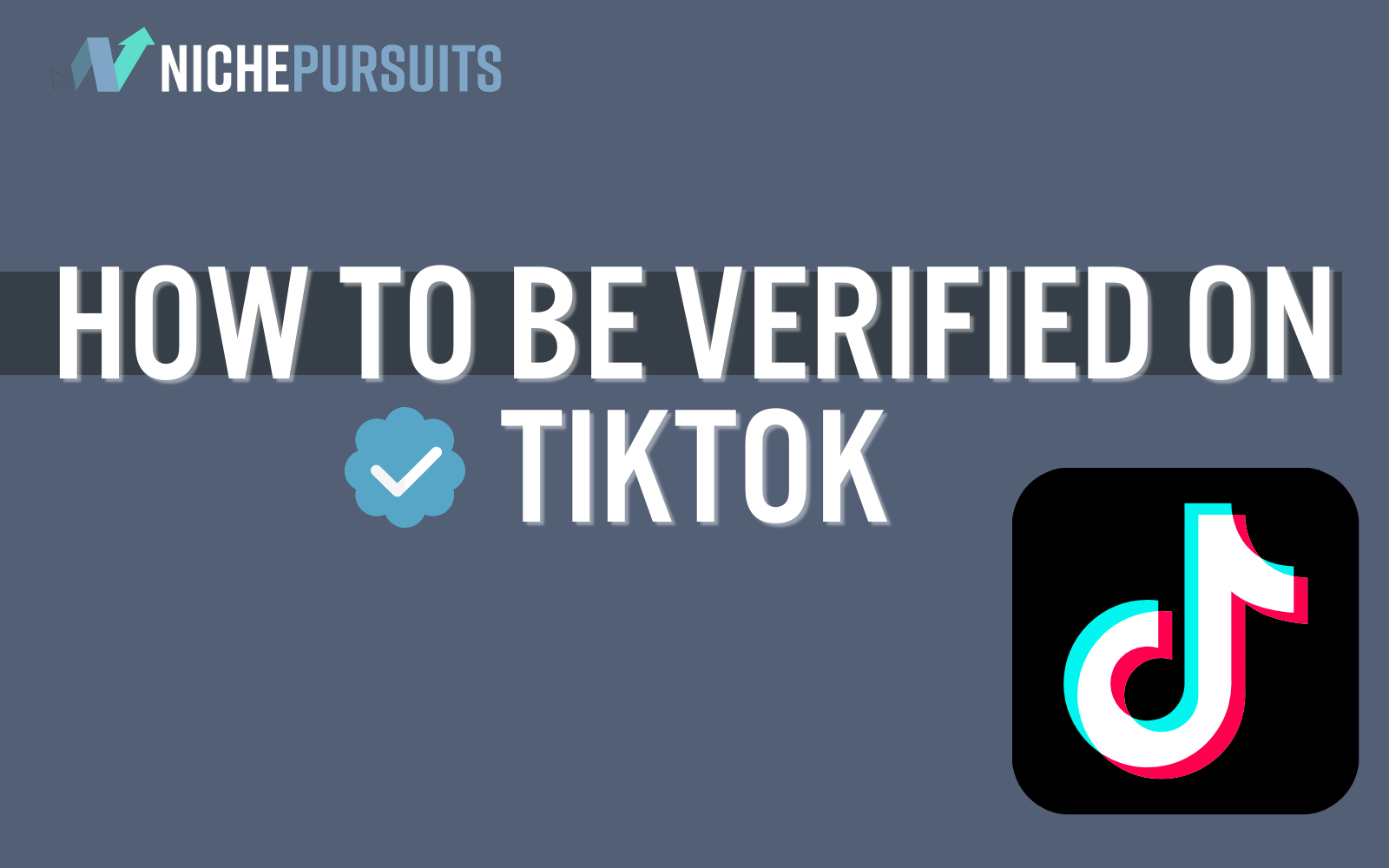 How To Get Verified On TikTok: Easy Steps To Get Your Blue Tick in