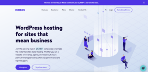 Screenshot of the Kinsta homepage.