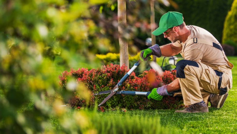 landscaping business names.