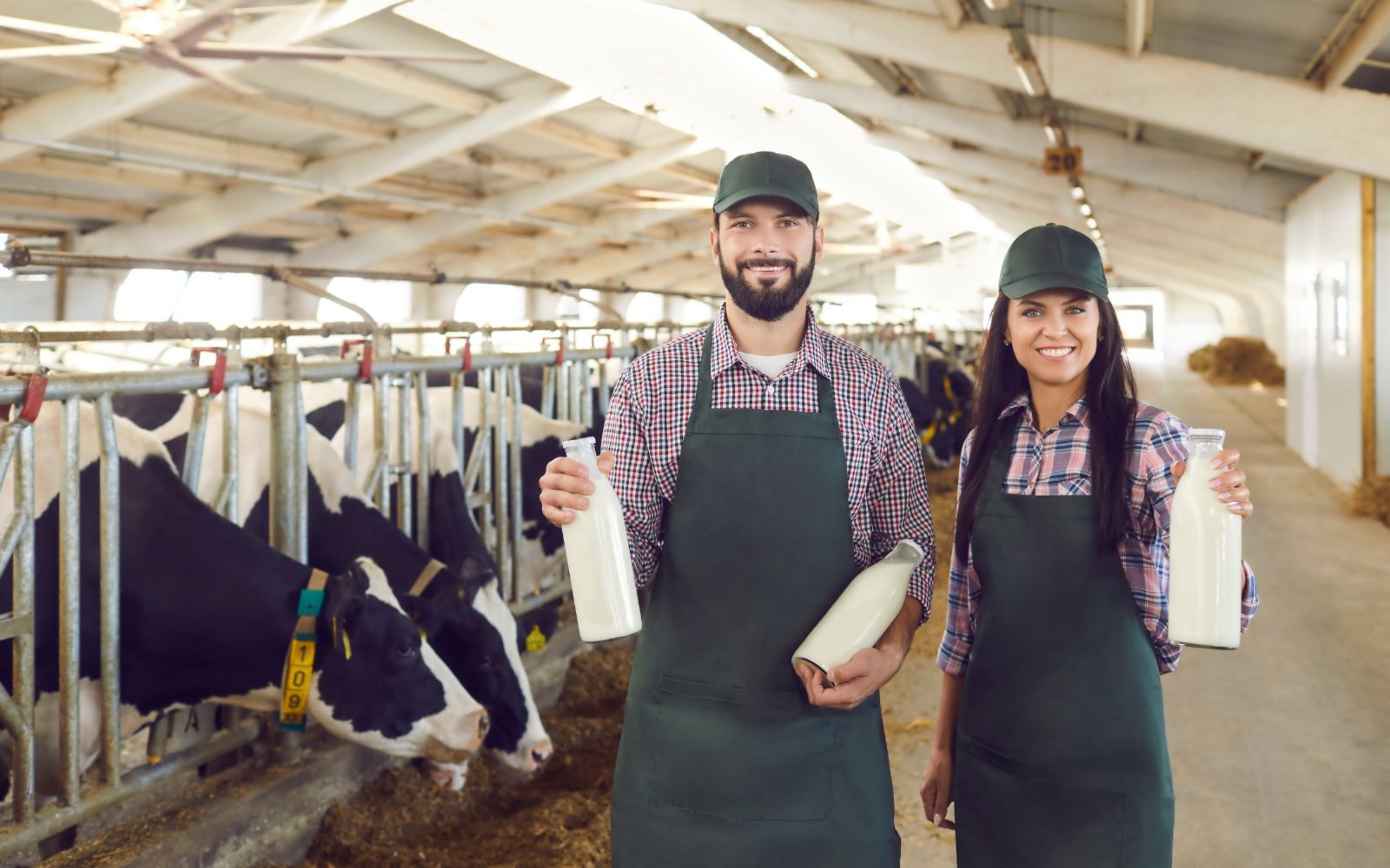 901-professional-and-bold-ideas-for-dairy-farm-names-in-2024