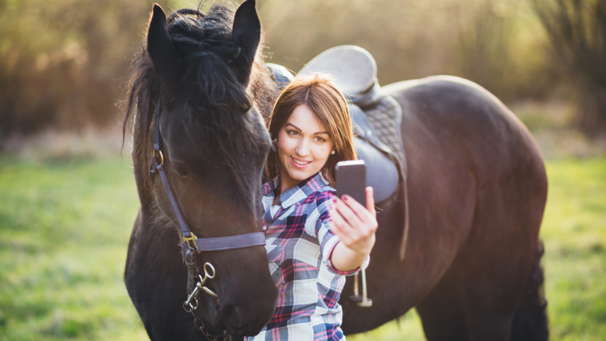 121 Horse Instagram Caption Ideas to Saddle Up for Success in 2024