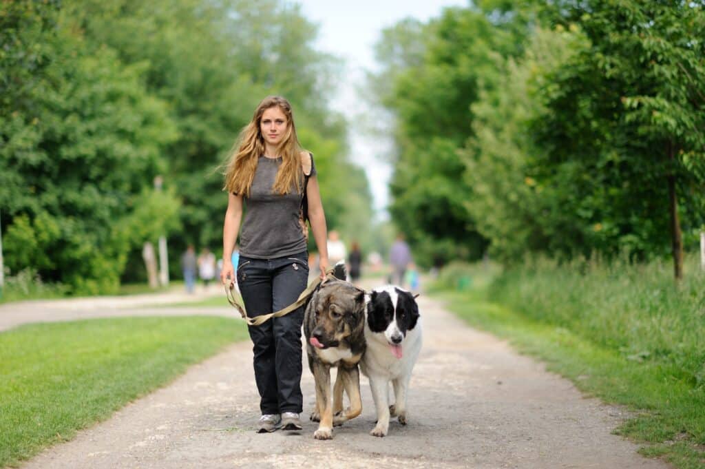 dog walker