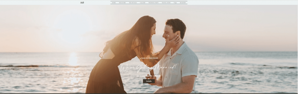 wedding website examples